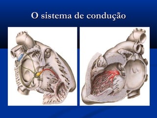 O sistema de conduçãoO sistema de condução
 
