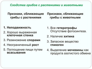 Признаки, сближающие
грибы с растениями
1. Неподвижность
2. Хорошо выраженная
клеточная стенка
3. Размножение спорами
4. Неограниченный рост
5. Поглощение пищи путем
всасывания
Признаки, сближающие
грибы с животными
1. Все гетеротрофы
Отсутствие фотосинтеза.
2. Наличие хитина
3. Запасное вещество
гликоген
4. Выделение мочевины как
продукта азотистого обмена
Сходства грибов с растениями и животными
 