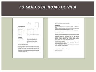 FORMATOS DE HOJAS DE VIDA
 