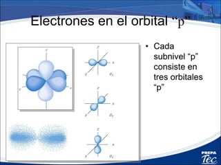 Orbitales
• Cada subnivel tiene uno o mas
orbitales.
• Cada orbital puede contener dos
electrones.
• Los dos electrones deben tener Spin
o carga magnética diferente.
 