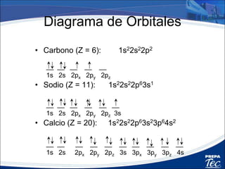 Prentice-Hall ©2002 Burns 4/e Chapter 5 Slide 30 of 71
Insert figure 5.23
 