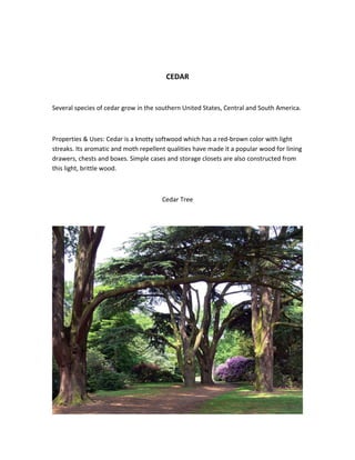 CEDAR
Several species of cedar grow in the southern United States, Central and South America.
Properties & Uses: Cedar is a knotty softwood which has a red-brown color with light
streaks. Its aromatic and moth repellent qualities have made it a popular wood for lining
drawers, chests and boxes. Simple cases and storage closets are also constructed from
this light, brittle wood.
Cedar Tree
 