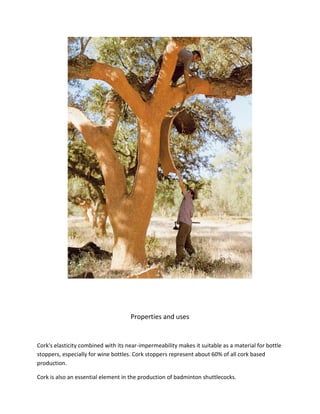 Properties and uses
Cork's elasticity combined with its near-impermeability makes it suitable as a material for bottle
stoppers, especially for wine bottles. Cork stoppers represent about 60% of all cork based
production.
Cork is also an essential element in the production of badminton shuttlecocks.
 