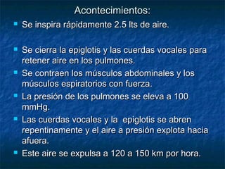 Acontecimientos:Acontecimientos:
 Se inspira rápidamente 2.5 lts de aire.Se inspira rápidamente 2.5 lts de aire.
 Se cierra la epiglotis y las cuerdas vocales paraSe cierra la epiglotis y las cuerdas vocales para
retener aire en los pulmones.retener aire en los pulmones.
 Se contraen los músculos abdominales y losSe contraen los músculos abdominales y los
músculos espiratorios con fuerza.músculos espiratorios con fuerza.
 La presión de los pulmones se eleva a 100La presión de los pulmones se eleva a 100
mmHg.mmHg.
 Las cuerdas vocales y la epiglotis se abrenLas cuerdas vocales y la epiglotis se abren
repentinamente y el aire a presión explota haciarepentinamente y el aire a presión explota hacia
afuera.afuera.
 Este aire se expulsa a 120 a 150 km por hora.Este aire se expulsa a 120 a 150 km por hora.
 