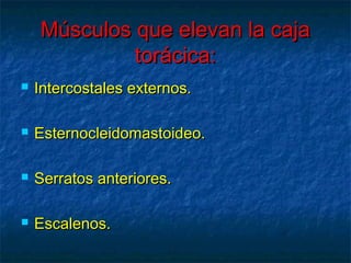 Músculos que elevan la cajaMúsculos que elevan la caja
torácica:torácica:
 Intercostales externos.Intercostales externos.
 Esternocleidomastoideo.Esternocleidomastoideo.
 Serratos anteriores.Serratos anteriores.
 Escalenos.Escalenos.
 