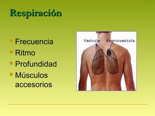 RespiraciónRespiración
 Frecuencia
 Ritmo
 Profundidad
 Músculos
accesorios
 