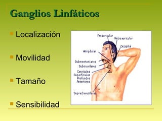 Ganglios LinfáticosGanglios Linfáticos
 Localización
 Movilidad
 Tamaño
 Sensibilidad
 