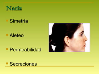 NarizNariz
 Simetría
 Aleteo
 Permeabilidad
 Secreciones
 