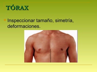 TÓRAXTÓRAX
 Inspeccionar tamaño, simetría,
deformaciones.
 