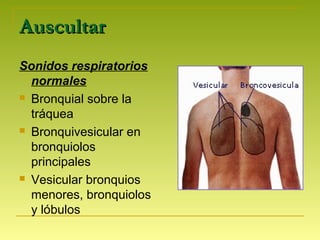 AuscultarAuscultar
Sonidos respiratorios
normales
 Bronquial sobre la
tráquea
 Bronquivesicular en
bronquiolos
principales
 Vesicular bronquios
menores, bronquiolos
y lóbulos
 