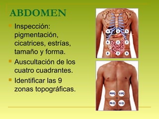 ABDOMEN
 Inspección:
pigmentación,
cicatrices, estrías,
tamaño y forma.
 Auscultación de los
cuatro cuadrantes.
 Identificar las 9
zonas topográficas.
 