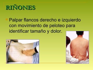 RIÑONESRIÑONES
 Palpar flancos derecho e izquierdo
con movimiento de peloteo para
identificar tamaño y dolor.
 