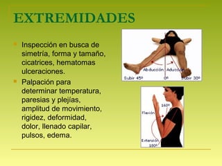 EXTREMIDADES
 Inspección en busca de
simetría, forma y tamaño,
cicatrices, hematomas
ulceraciones.
 Palpación para
determinar temperatura,
paresias y plejías,
amplitud de movimiento,
rigidez, deformidad,
dolor, llenado capilar,
pulsos, edema.
 