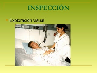 INSPECCIÓN
 Exploración visual
 