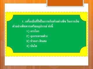 1. เครื่องมือที่ใช้ในการเก็บตัวอย่างพืช ในการเก็บ
ตัวอย่างพืชควรเตรียมอุปกรณ์ ดังนี้
1) กรรไกร
2) ถุงกระดาษฟาง
3) ปากกา ดินสอ
4) บันได
 