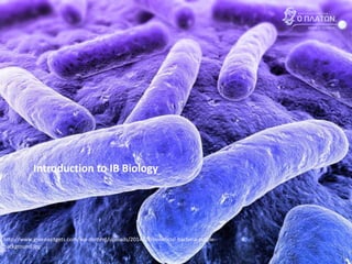 Introduction to IB Biology
http://www.greenasitgets.com/wp-content/uploads/2014/09/beneficial-bacteria-purple-
background.jpg
 