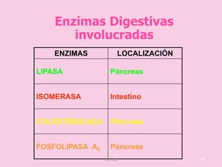 Enzimas Digestivas
involucradas
ENZIMAS LOCALIZACIÓN
LIPASA Páncreas
ISOMERASA Intestino
COLESTEROLASA Páncreas
FOSFOLIPASA A2 Páncreas
15Meli lds
 