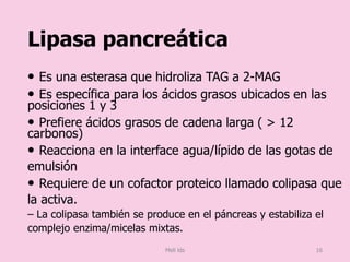 Lipasa pancreática
• Es una esterasa que hidroliza TAG a 2-MAG
• Es específica para los ácidos grasos ubicados en las
posiciones 1 y 3
• Prefiere ácidos grasos de cadena larga ( > 12
carbonos)
• Reacciona en la interface agua/lípido de las gotas de
emulsión
• Requiere de un cofactor proteico llamado colipasa que
la activa.
– La colipasa también se produce en el páncreas y estabiliza el
complejo enzima/micelas mixtas.
Meli lds 16
 