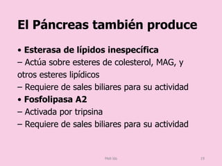 El Páncreas también produce
• Esterasa de lípidos inespecífica
– Actúa sobre esteres de colesterol, MAG, y
otros esteres lipídicos
– Requiere de sales biliares para su actividad
• Fosfolipasa A2
– Activada por tripsina
– Requiere de sales biliares para su actividad
Meli lds 19
 