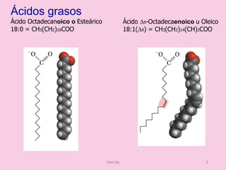 Ácidos grasos
Ácido Octadecanoico o Esteárico
18:0 = CH3(CH2)16COO
Ácido D9-Octadecaenoico u Oleico
18:1(D9) = CH3(CH2)14(CH)2COO
Meli lds 5
 