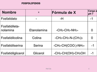 Fosfatidato - -H -1
Fosfatidileta-
nolamina Etanolamina -CH2-CH2-NH3+ 0
Fosfatidilcolina Colina -CH2-CH2-N+(CH3)3 0
Fosfatidilserina Serina -CH2-CH(COO-)-NH3+ -1
Fosfatidilglicerol Glicerol -CH2-CH(OH)-CH2OH -1
Nombre Fórmula de X
Carga a
pH 7
x
FOSFOLIPIDOS
Meli lds 6
 