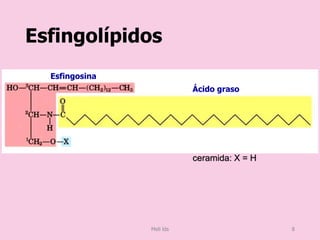 Esfingolípidos
Esfingosina
Ácido graso
ceramida: X = H
Meli lds 8
 