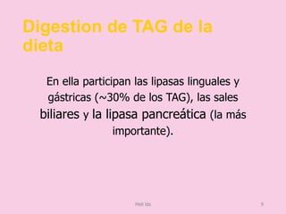 Digestion de TAG de la
dieta
En ella participan las lipasas linguales y
gástricas (~30% de los TAG), las sales
biliares y la lipasa pancreática (la más
importante).
Meli lds 9
 