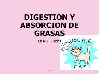 DIGESTION Y
ABSORCION DE
GRASAS
Clase 1: Lípidos
Meli lds 1
 