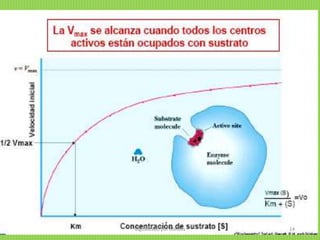 digitalizado por Melilds 14
 