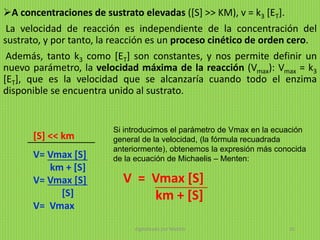 A concentraciones de sustrato elevadas ([S] >> KM), v = k3 [ET].
La velocidad de reacción es independiente de la concentración del
sustrato, y por tanto, la reacción es un proceso cinético de orden cero.
Además, tanto k3 como [ET] son constantes, y nos permite definir un
nuevo parámetro, la velocidad máxima de la reacción (Vmax): Vmax = k3
[ET], que es la velocidad que se alcanzaría cuando todo el enzima
disponible se encuentra unido al sustrato.
[S] << km
V= Vmax [S]
km + [S]
V= Vmax [S]
[S]
V= Vmax
Si introducimos el parámetro de Vmax en la ecuación
general de la velocidad, (la fórmula recuadrada
anteriormente), obtenemos la expresión más conocida
de la ecuación de Michaelis – Menten:
V = Vmax [S]
km + [S]
digitalizado por Melilds 16
 