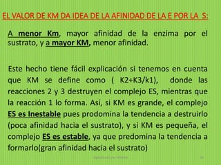 EL VALOR DE KM DA IDEA DE LA AFINIDAD DE LA E POR LA S:
A menor Km, mayor afinidad de la enzima por el
sustrato, y a mayor KM, menor afinidad.
Este hecho tiene fácil explicación si tenemos en cuenta
que KM se define como ( K2+K3/k1), donde las
reacciones 2 y 3 destruyen el complejo ES, mientras que
la reacción 1 lo forma. Así, si KM es grande, el complejo
ES es Inestable pues prodomina la tendencia a destruirlo
(poca afinidad hacia el sustrato), y si KM es pequeña, el
complejo ES es estable, ya que predomina la tendencia a
formarlo(gran afinidad hacia el sustrato)
digitalizado por Melilds 18
 