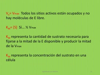 Vo= Vmax Todos los sitios activos están ocupados y no
hay moléculas de E libre.
KM= [S] Sí... ½ Vmax
KM representa la cantidad de sustrato necesaria para
fijarse a la mitad de la E disponible y producir la mitad
de la Vmax
KM representa la concentración del sustrato en una
célula
digitalizado por Melilds 21
 