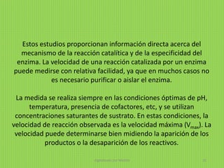 Estos estudios proporcionan información directa acerca del
mecanismo de la reacción catalítica y de la especificidad del
enzima. La velocidad de una reacción catalizada por un enzima
puede medirse con relativa facilidad, ya que en muchos casos no
es necesario purificar o aislar el enzima.
La medida se realiza siempre en las condiciones óptimas de pH,
temperatura, presencia de cofactores, etc, y se utilizan
concentraciones saturantes de sustrato. En estas condiciones, la
velocidad de reacción observada es la velocidad máxima (Vmax). La
velocidad puede determinarse bien midiendo la aparición de los
productos o la desaparición de los reactivos.
digitalizado por Melilds 32
 
