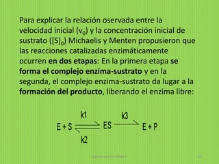 Para explicar la relación oservada entre la
velocidad inicial (v0) y la concentración inicial de
sustrato ([S]0) Michaelis y Menten propusieron que
las reacciones catalizadas enzimáticamente
ocurren en dos etapas: En la primera etapa se
forma el complejo enzima-sustrato y en la
segunda, el complejo enzima-sustrato da lugar a la
formación del producto, liberando el enzima libre:
digitalizado por Melilds 35
 