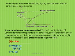 A concentraciones de sustrato pequeñas ([S] << KM) v = (k3 [ET]/KM) [S].
Como los términos entre paréntesis son constantes, pueden englobarse en una
nueva constante, kobs, de forma que la expresión queda reducida a: v = kobs [S],
con lo cual la reacción es un proceso cinético de primer orden.
Para cualquier reacción enzimática, [ET], k3 y KM son constantes. Vamos a
considerar dos casos extremos:
[S] << km
V= Vmax [S]
km + [S]
V= K. [S]
digitalizado por Melilds 39
 