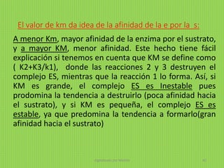 El valor de km da idea de la afinidad de la e por la s:
A menor Km, mayor afinidad de la enzima por el sustrato,
y a mayor KM, menor afinidad. Este hecho tiene fácil
explicación si tenemos en cuenta que KM se define como
( K2+K3/k1), donde las reacciones 2 y 3 destruyen el
complejo ES, mientras que la reacción 1 lo forma. Así, si
KM es grande, el complejo ES es Inestable pues
prodomina la tendencia a destruirlo (poca afinidad hacia
el sustrato), y si KM es pequeña, el complejo ES es
estable, ya que predomina la tendencia a formarlo(gran
afinidad hacia el sustrato)
digitalizado por Melilds 42
 