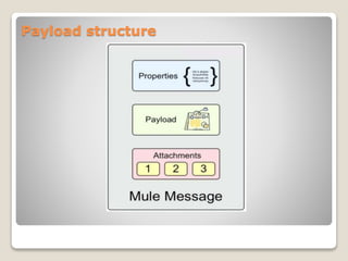 Payload structure
 