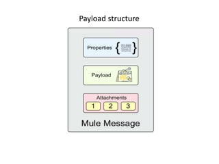 Payload structure
 