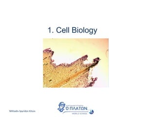 Miltiadis-Spyridon Kitsos
1. Cell Biology
 