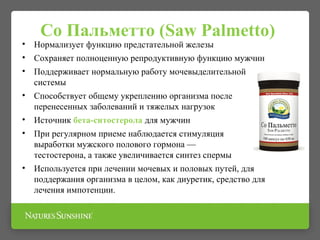 Со Пальметто (Saw Palmetto)
• Нормализует функцию предстательной железы
• Сохраняет полноценную репродуктивную функцию мужчин
• Поддерживает нормальную работу мочевыделительной
системы
• Способствует общему укреплению организма после
перенесенных заболеваний и тяжелых нагрузок
• Источник бета-ситостерола для мужчин
• При регулярном приеме наблюдается стимуляция
выработки мужского полового гормона —
тестостерона, а также увеличивается синтез спермы
• Используется при лечении мочевых и половых путей, для
поддержания организма в целом, как диуретик, средство для
лечения импотенции.
 