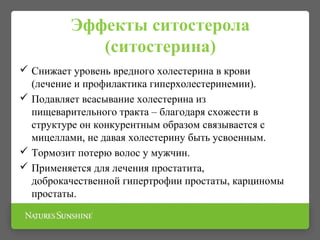 Эффекты ситостерола
(ситостерина)
 Снижает уровень вредного холестерина в крови
(лечение и профилактика гиперхолестеринемии).
 Подавляет всасывание холестерина из
пищеварительного тракта – благодаря схожести в
структуре он конкурентным образом связывается с
мицеллами, не давая холестерину быть усвоенным.
 Тормозит потерю волос у мужчин.
 Применяется для лечения простатита,
доброкачественной гипертрофии простаты, карциномы
простаты.
 