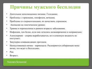 Причины мужского бесплодия
• Длительное неполноценное питание. Голодание;
• Проблемы с гормонами, гипофизом, яичками;
• Проблемы со сперматозоидами, их качеством, строением;
• Аномалии на генетическом уровне;
• Травмы и перенесенные в раннем возрасте заболевания;
• Инфекции, тем более, если они лечились несвоевременно и неправильно;
• Азооспермия – сперма вырабатывается, но в семенную жидкость не
поступает;
• Закупорка семявыводящих протоков;
• Неопустившиеся яички – варикоцеле. Расширяются собирающие вены
яичка, что ведет к бесплодию;
• Рак;
• Возраст;
 