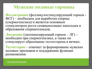 Мужские половые гормоны
Фоллитропин (фолликулостимулирующий гормон -
ФСГ) – необходим для выработки спермы
(спермогенезиса) и является основным
стимулятором роста семявыносящих канальцев и
образования сперматозоидов;
Лютропин (лютеинизирующий гормон – ЛГ) –
необходим при спермогенезисе, а также он
стимулирует образование тестостерона в яичках;
Тестостерон – отвечает за формирование мужских
половых признаков и поддержание функции
размножения.
09/16/15
 