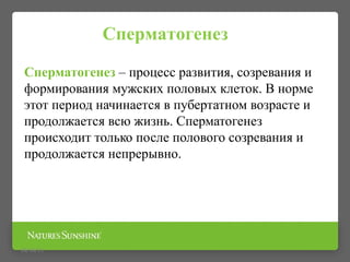 Сперматогенез – процесс развития, созревания и
формирования мужских половых клеток. В норме
этот период начинается в пубертатном возрасте и
продолжается всю жизнь. Сперматогенез
происходит только после полового созревания и
продолжается непрерывно.
09/16/15
Сперматогенез
 
