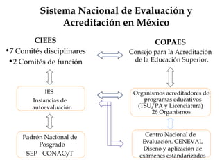Sistema Nacional de Evaluación y
Acreditación en México
CIEES
•7 Comités disciplinares
•2 Comités de función
COPAES
Consejo para la Acreditación
de la Educación Superior.
Organismos acreditadores de
programas educativos
(TSU/PA y Licenciatura)
26 Organismos
Centro Nacional de
Evaluación. CENEVAL
Diseño y aplicación de
exámenes estandarizados
IES
Instancias de
autoevaluación
Padrón Nacional de
Posgrado
SEP - CONACyT
 