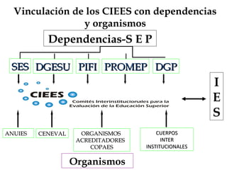 Vinculación de los CIEES con dependencias
y organismos
Dependencias-S E P
SESSES DGESUDGESU PIFIPIFI PROMEPPROMEP DGPDGP
ANUIESANUIES CENEVALCENEVAL ORGANISMOSORGANISMOS
ACREDITADORESACREDITADORES
COPAESCOPAES
I
E
S
Organismos
CUERPOSCUERPOS
INTERINTER
INSTITUCIONALESINSTITUCIONALES
 