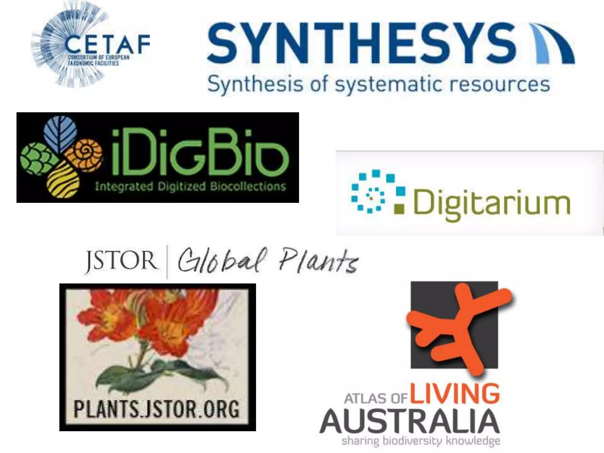 Access To Digitisation Tools And Methods Pptx