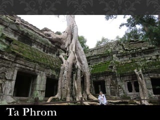 Ta Phrom - Angkor Temples