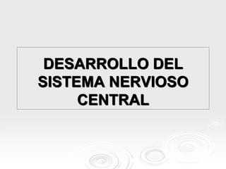 DESARROLLO DEL
SISTEMA NERVIOSO
CENTRAL
 