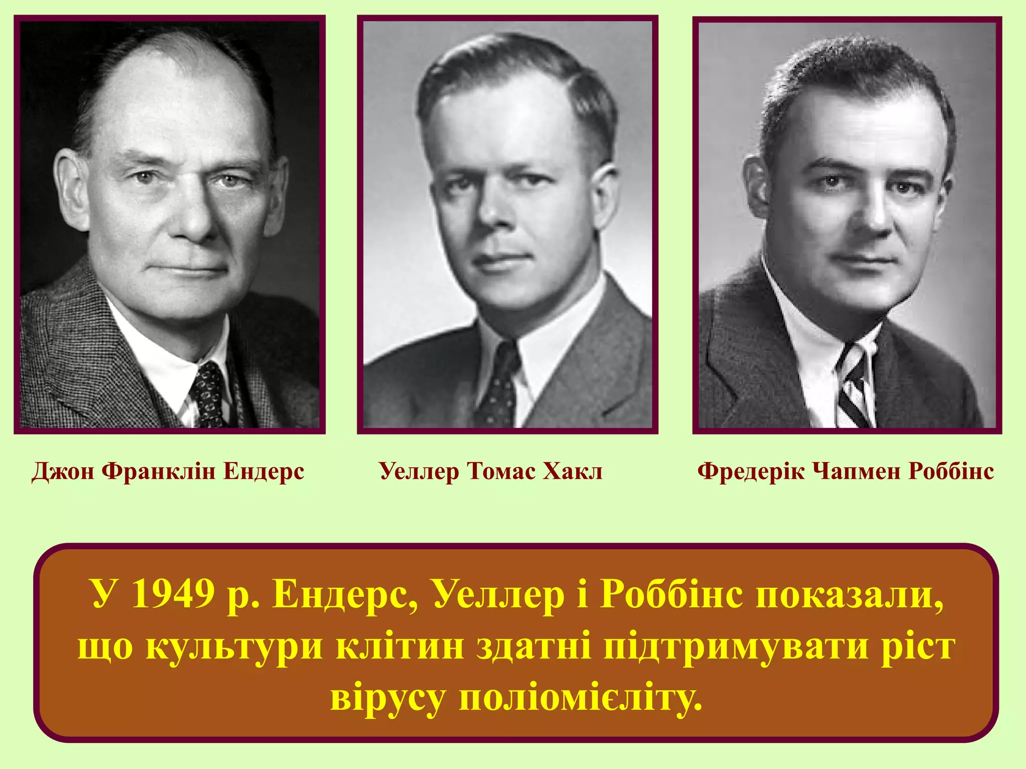 Уеллер Томас ХаклДжон Франклін Ендерс Фредерік Чапмен Роббінс
У 1949 р. Ендерс, Уеллер і Роббінс показали,
що культури клітин здатні підтримувати ріст
вірусу поліомієліту.
 